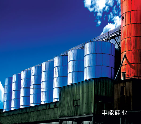 中能硅业