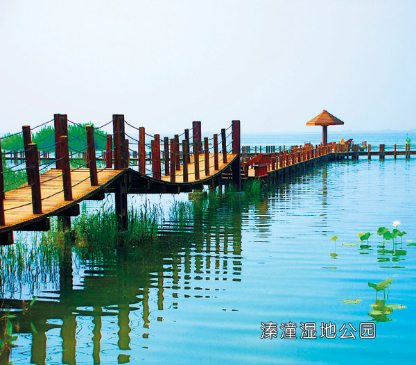 溱潼湿地公园